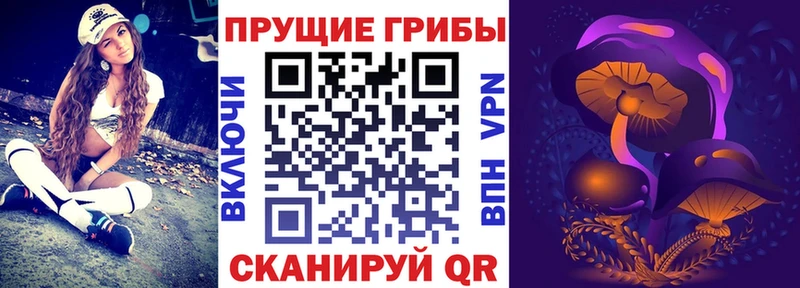 Галлюциногенные грибы Magic Shrooms  Сорочинск 
